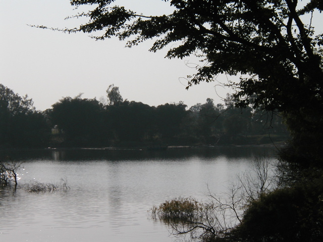 P1010015.JPG