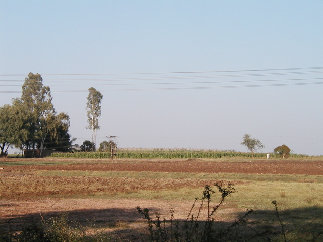 P1010016.JPG