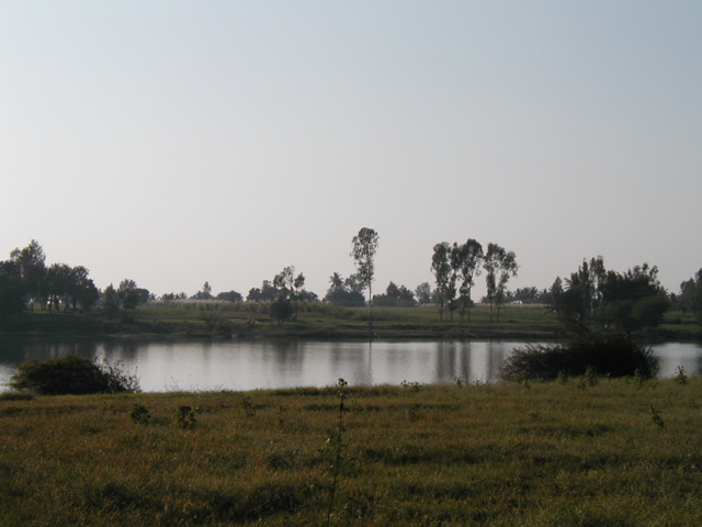 P1010017.JPG