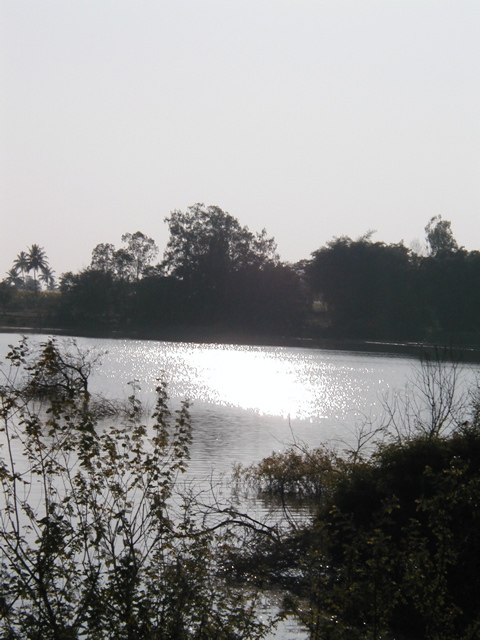 P1010019.JPG