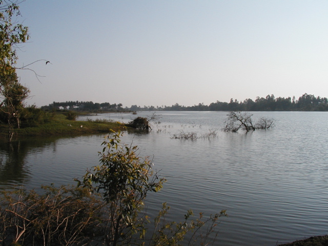 P1010022.JPG