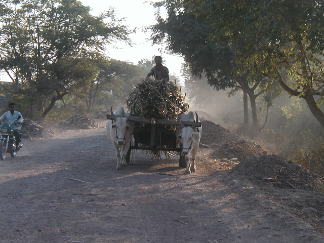 P1010024.JPG