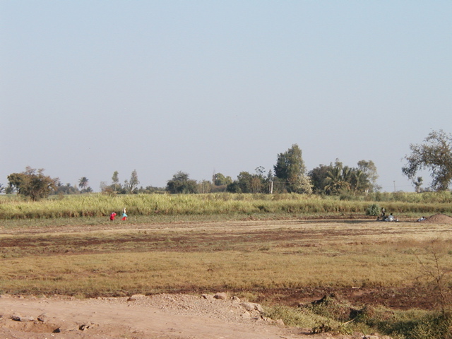 P1010007.JPG