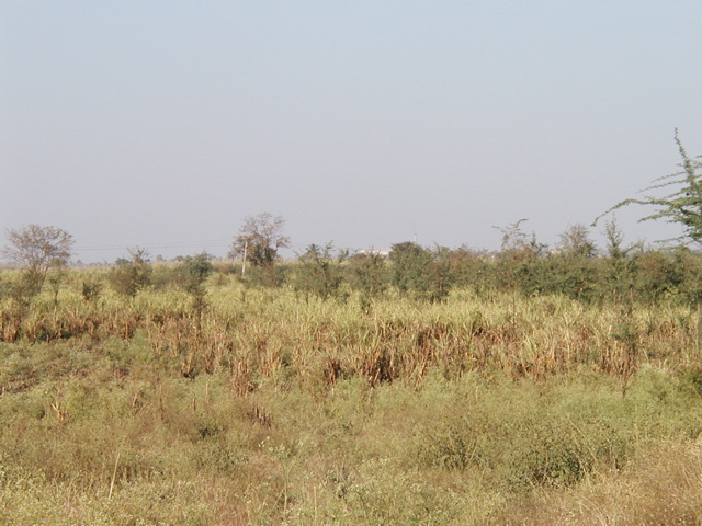 P1010008.JPG