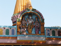 P1010002.JPG