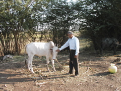 P1010012.JPG