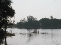 P1010014.JPG