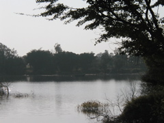 P1010015.JPG