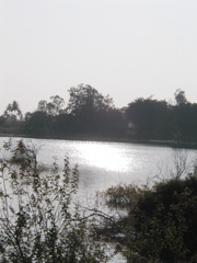 P1010019.JPG