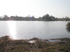 P1010020.JPG