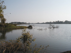 P1010022.JPG