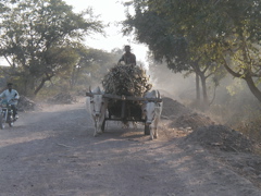 P1010024.JPG