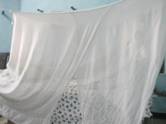 P1010031.JPG