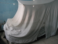 P1010032.JPG
