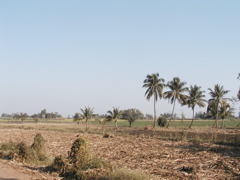 P1010005.JPG