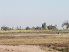 P1010007.JPG