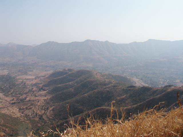P1010030.JPG