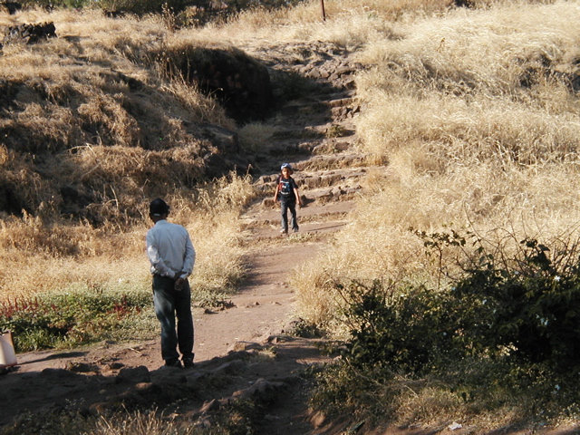 P1010040.JPG