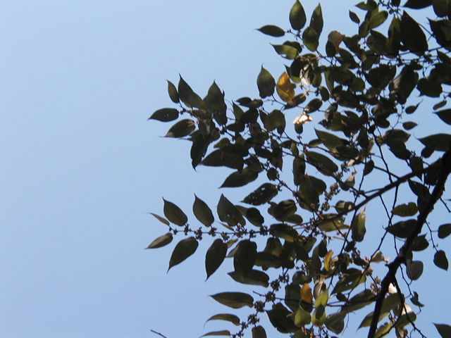 P1010041.JPG