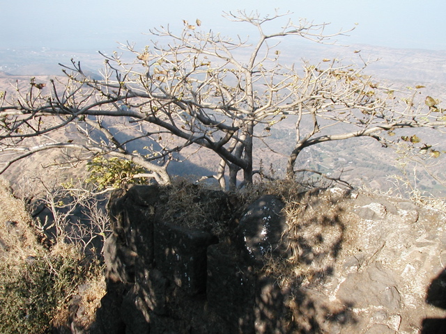 P1010045.JPG