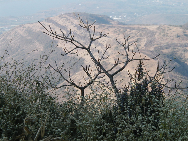 P1010046.JPG