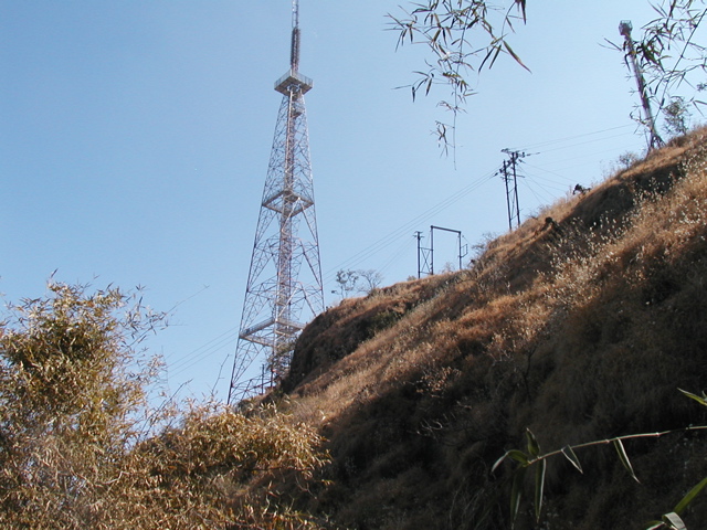 P1010020.JPG