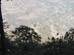P1010012.JPG