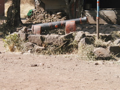 P1010024.JPG