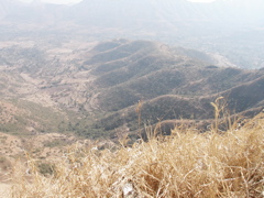 P1010028.JPG