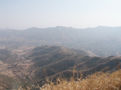 P1010030.JPG