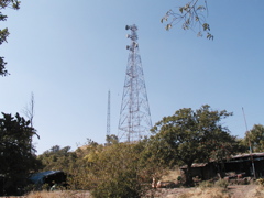 P1010033.JPG
