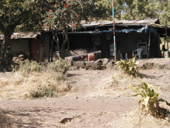 P1010034.JPG