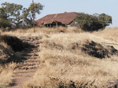 P1010037.JPG