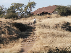 P1010039.JPG