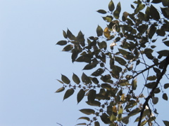 P1010041.JPG