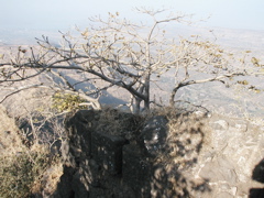 P1010045.JPG