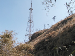 P1010020.JPG