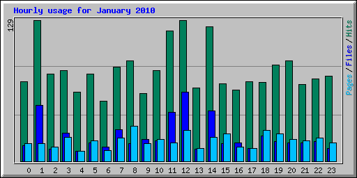 Hourly usage for January 2010